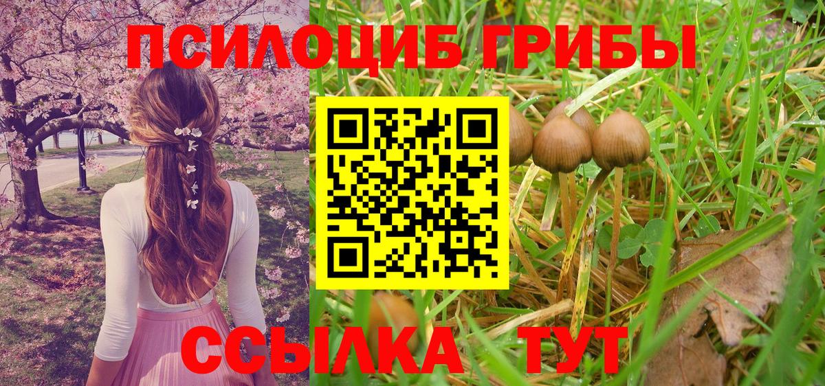 Галлюциногенные грибы MAGIC MUSHROOMS Лесосибирск