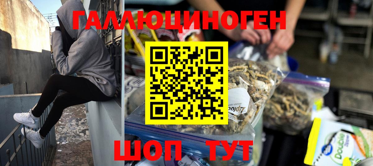 Лесосибирск  Галлюциногенные грибы Psilocybine cubensis  Вход с VPN 